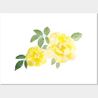 2 yellow roses watercolor Posters and Art